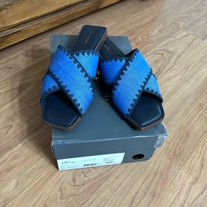 Ann Taylor Denim Flats 8